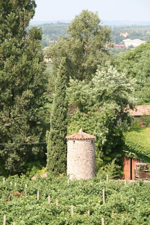 Agriturismo Corte Marzago Salionze Экстерьер фото